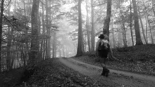 Caminades 2012 2015