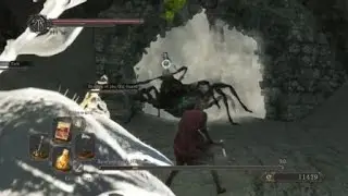 DARK SOULS™ II: Scholar of the First Sin Scorpioness Nejka Bossfight