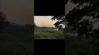 Saul Kere Park | Kaikondrahalli  | Sarjapur Road