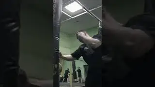 11 июня 2024 г.