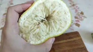 Грейпфрут Гульрипшский (как выяснилось), эпичный провал