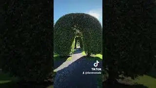 Мои пассажиры сегодня😁 🌺 🥰