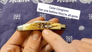 The Amber Bone Case Small Congress is a great knife (Best Knives).