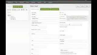 Manager Access   User and Basic Permission