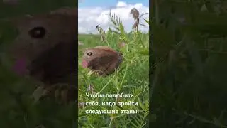 Чтобы полюбить себя #любовь, #love, #саморазвитие