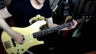 Guns N' Roses- Mr.Brownstone (Bass Cover)