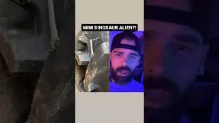 TINY ALIEN DINOSAUR?! #alien #aliensarecool #creaturesofthenight #bugs #reactionvideo