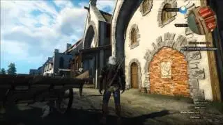The Witcher 3 - Novigrad rat glitch
