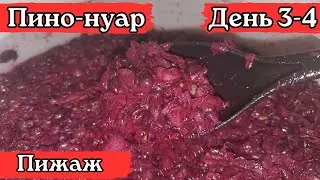 Красное вино из винограда 