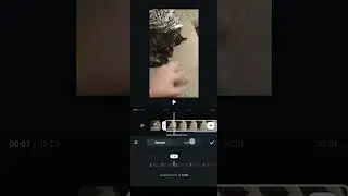 Como CAMBIAR la VELOCIDAD de un VIDEO en Filmora