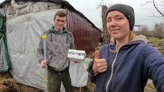 НОВИЙ СПОСІБ ОСІМЕНІННЯ СВИНОМАТКИ⁉️ СПРОБУВАЛИ І НАША ДУМКА!