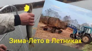 НЕ ГРИБАЛКА🍄🍄, НЕ РЫБАЛКА🐟🐟жизнь в деревне