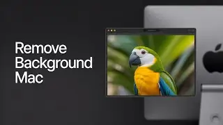 How to Remove Image Background on Mac