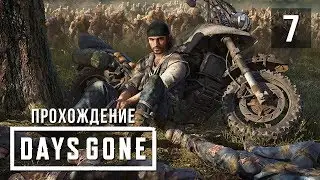 Воспоминание и очередной вертолёт NERO • Days Gone • #7