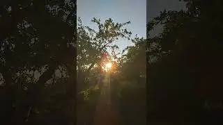 солнышко
