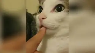 ууБез названия