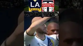 The MLS 