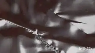 пошив .пиджак из натуральной кожи .