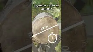 Когда бесят чурки за окном... 