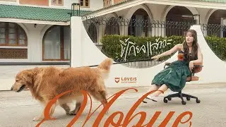MOBYE - ขี้เกียจแล้วอ่ะ (Done Looking) [Official MV]
