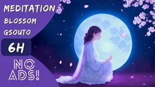 RELAXING SLEEP MUSIC - MEDITATION MUSIC DEEP SLEEPING MUSIC, SOOTHING MUSIC, STRESS RELIEF - NO ADS