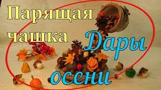 Парящая чашка 