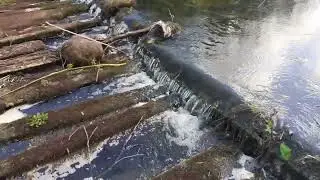 р.Медведица