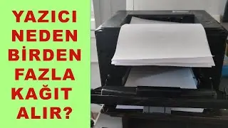 Printer Picks Up Multiple Papers / Printer Does Not Pick Up Paper