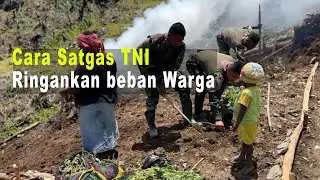Ringankan beban masyarakat, Satgas TNI bantu buka lahan Pertanian warga di Puncak Jaya