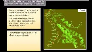 Biotechnolgy Principles and Processes