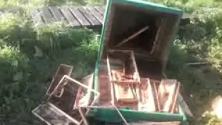 Медведь разрушает домики на пасеке