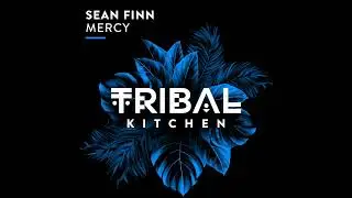 Sean Finn - Mercy (Extended Mix)
