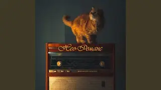 Снежная ночь
