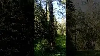 18 июня 2023 г.