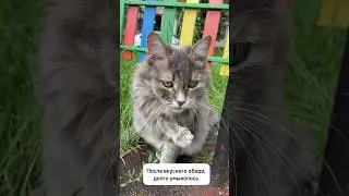 Не проходите мимо, будьте добрее!