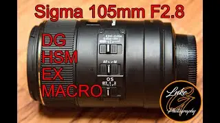 Sigma 105mm F2.8 DG HSM EX Macro Review for Nikon + Samples
