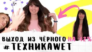 Выход ИЗ ЧЁРНОГО. Порошок на 12% l Очень длинные волосы и густые волосы l Техника WET LITVINOVA
