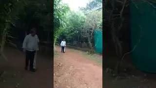 Nandankanan incident, two person entered into the near by cage #indian #odisha #zoo #scary #tiger