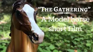 Model Horse Short Film || “The Gathering”
