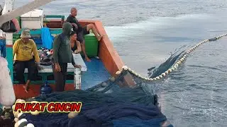 Penangkapan Ikan Teri Dari jatuh pukat pertama hingga selesai