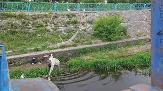 Лещ сорвался