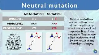 MUTATION | Sir Marlon's Students Edition
