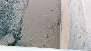 واد تركى جماعة توندوت ورزازات