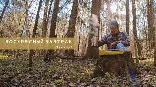Варим натуральный кофе в весеннем лесу без костра, завтракаем и слушаем пение птиц. Эпизод 1.
