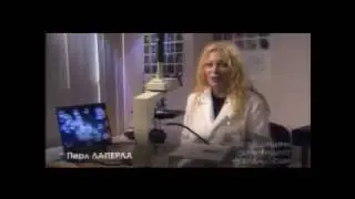 ٭Воздействие структурированной воды на кровь