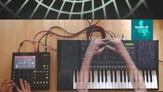 Akai Mpc One + Korg Ms2000 arpeggiator, HipHop Jazz Funk Electro Jam finger drumming