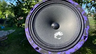 ЦЕНА - КАЧЕСТВО. Dl AUDIO PIRANHA 200