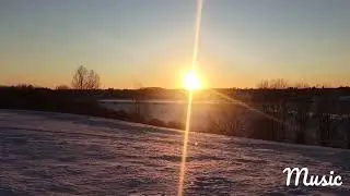 Лиса. Дом на Волхове.