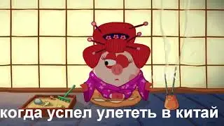 СБОРНИК МУД  СМЕШАРИКИ #1