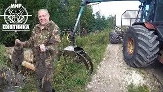 Beaver Hunt 